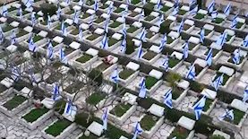 הסרטון שעורר סערה, צילום: צילום מסך מטוויטר